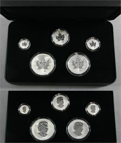 Kanada - 2004 Silver Maple Leaf Set, 1 - 5 Dollars (5),
