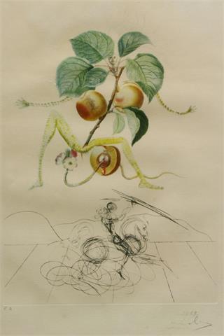 'Abricot chevalier' aus 'Les Métamorphoses érotiques' nach SALVADOR DALI (1904 - 1989).