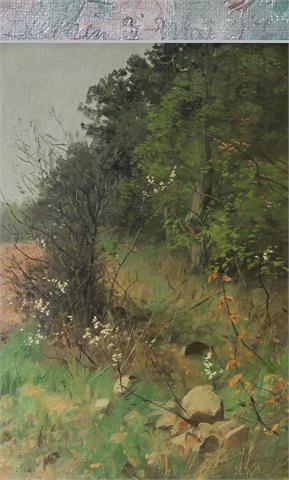 DRATHMANN, CHRISTOFFER ATTR. (1856-1932): Waldrandpartie im Frühling.