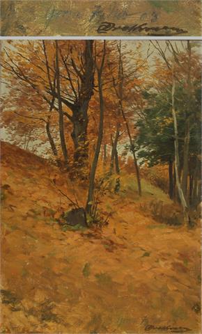 DRATHMANN, CHRISTOFFER (1856-1932): Waldpartie im Herbst, 1903.