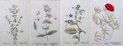 BLACKWELL, ELIZABETH (1710-1774): vier botanische Blätter, Plattennrn. 10, 15, 36, 65,  aus: "Herbarium Blackwellium