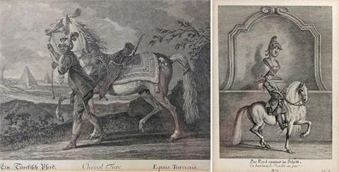 Konvolut: 2 Stiche mit Pferdedarstellungen, RIDINGER, JOHANN ELIAS (1698 - 1767)