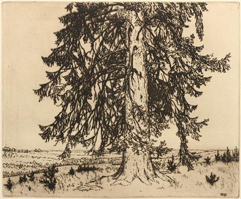 STEINIGER, Ferdinand (1882-?), 'Fichte', 1913.