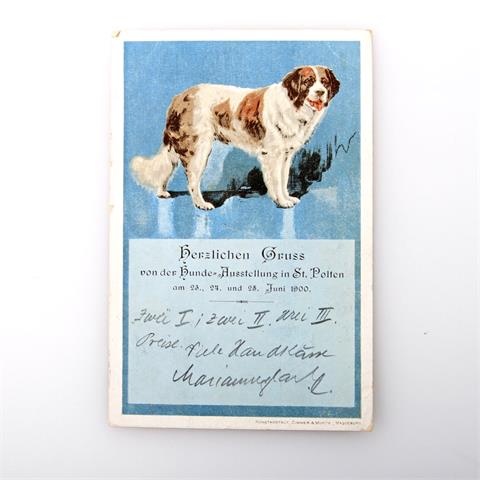 Postkarte - Hundeausstellung St. Pölten im Jahre 1900,