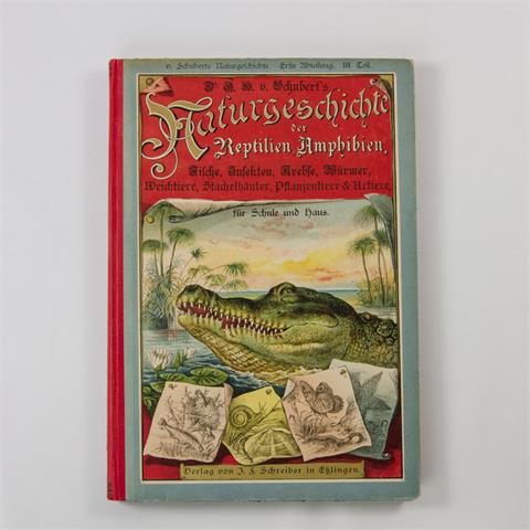 Sachbuch - 'Reptilien, Amphibien, Fische, Insekten, Krebstiere, Würmer, Weichtiere, Stachelhäuter, Pflanzentiere und Urtiere'.