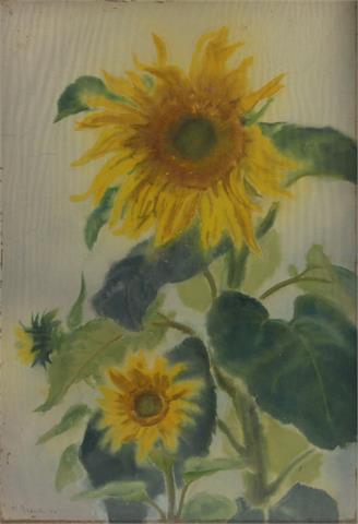 BRASCH, HANS (1882-1973): Sonnenblumen, 1934.