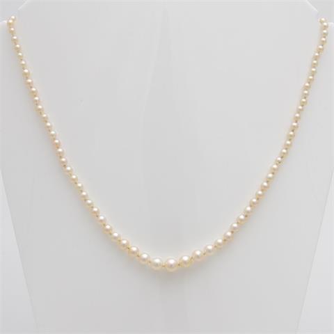 Perlenkette in Cremetönen im Verlauf (ca. 2-5,5mm) lt. beiliegender Begutachtung wohl Orientperlen.