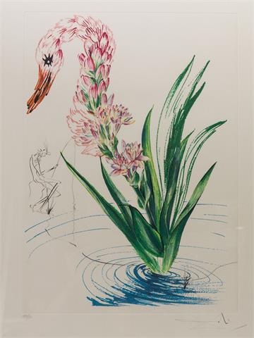 DALI, SALVADOR (1904-1989): 1 Bl. "Polyanthes tyberosa et cygnus vegetalis" aus der Serie "Surrealistic Flowers", 1972,