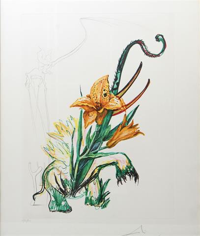 DALI, SALVADOR (1904-1989): 1 Bl. "Hemerocallis thumbergii elephanter furiosa" aus der Serie "Surrealistic Flowers", 1972,