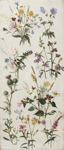 CZECH, EMIL (Attrib.; 1862-1929): Studie verschiedener Blumen, 1887,