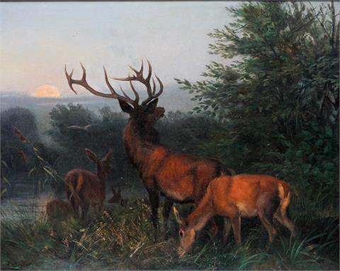 DEIKER, CARL-FRIEDRICH (Wetzlar 1836-1892 Düsseldorf), "Hirschrudel in der Abendsonne",