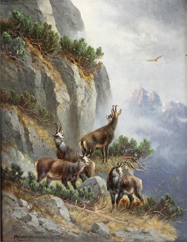 MÜLLER, MORITZ sen. (München 1841-1899 ebenda, Wild- u. Jagdmaler), "Sichernde Gemsen",