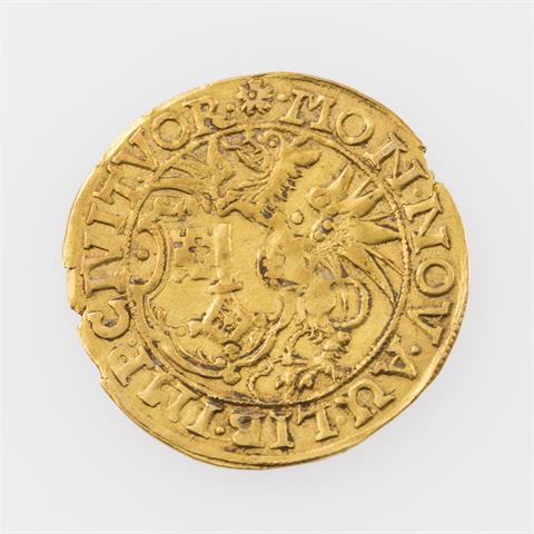 Stadt Worms/Gold - Goldgulden 1619, Av: Drachen mit Wappenschild,