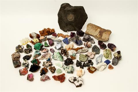 Mineralien, Farbsteine, Fossilien, Sammlung