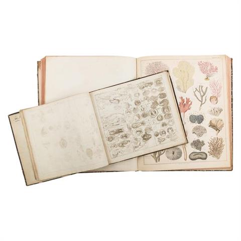 Handkolorierte Tafeln zu Okens Naturgeschichte, 19.Jh. - "Abbildungen zu Oken's Naturgeschichte, Stuttgart 1843" mit