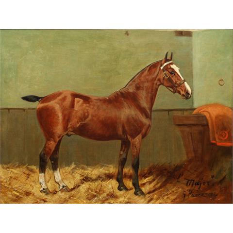 PAICE, GEORGE (1854-1925) Pferd 'Major'.