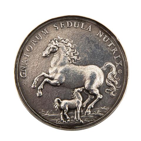 STUTGARDIA DUCATUS - Medaille