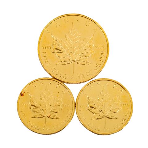 Kanadische Investgoldmünzen -