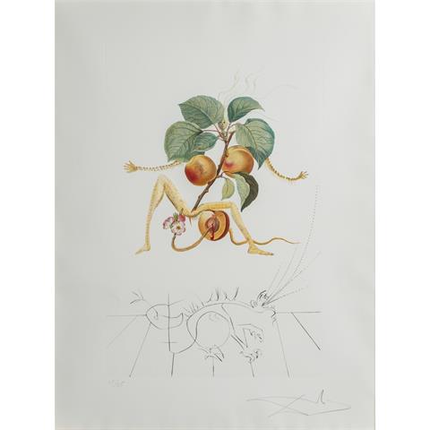 DALI, SALVADOR (1904-1989), "Aprikose" aus der Serie "Flordali (Früchte)",