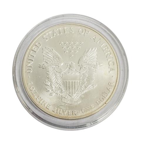 USA, American Eagle 2000 mit Farb Applikation,