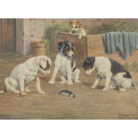 PODEYN, M. (Maler/in 19./20. Jh.), "Drei Hundewelpen mit Maus und Katze",