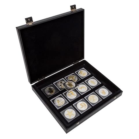 Schönes Set 13 x Anlagemünzen /SILBER mit Goldapplikation à 1 Unze