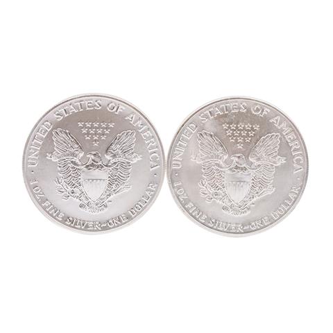USA / SILBER - 2 x American Silver Eagle 1 oz 1990/1991