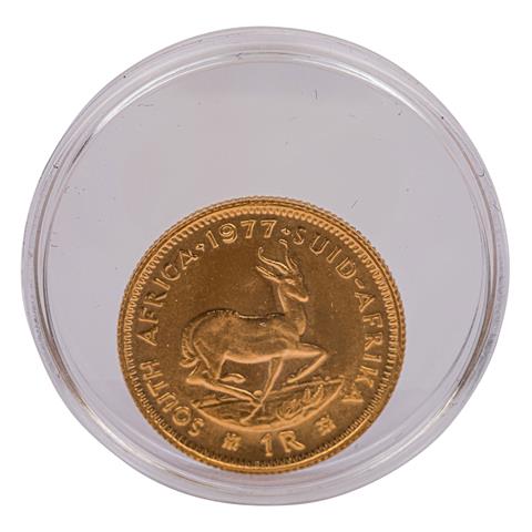 Südafrika - 1 Rand 1977, Springbock, GOLD,
