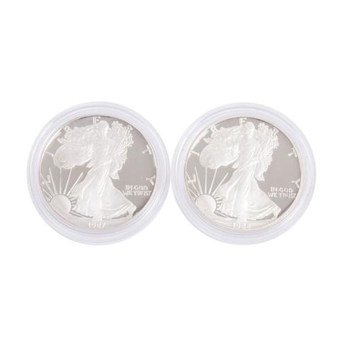 USA /SILBER - 2 x 1 $ American Silver Eagle 1 oz in PP