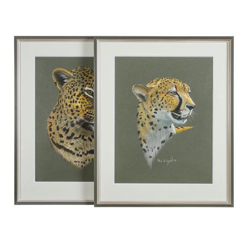 DIXON, PAUL B. (geb. 1956, britischer Künstler), Paar Tierportraits: Leopard und Gepard, 1995,