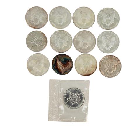 SILBER - 13 x 1 Unze Münzen, Kanada, USA,