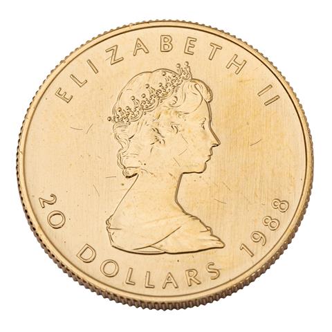 Kanada /GOLD - 20 $ 1988  Maple Leaf 1/2 oz